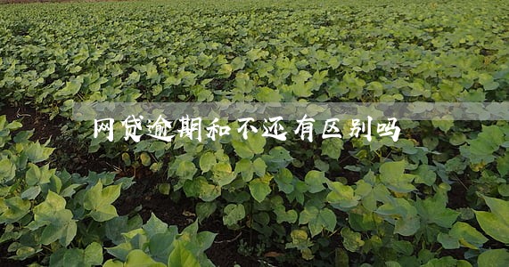 网贷逾期和不还有区别吗 网贷逾期和不还有区别吗