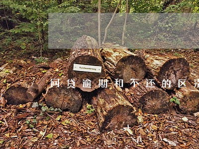 网贷逾期和不还的区别 网贷逾期和不还的区别