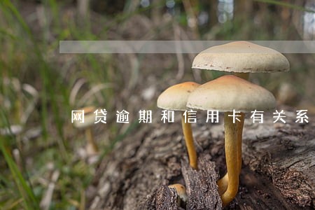 网贷逾期和信用卡有关系没 网贷逾期和信用卡有关系没