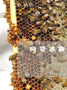 网贷逾期和信用卡逾期一样嘛
