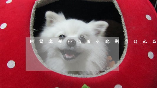 网贷逾期和信用卡逾期有什么区别