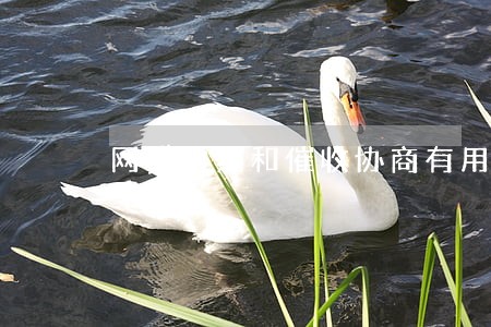 网贷逾期和催收协商有用吗 网贷逾期和催收协商有用吗