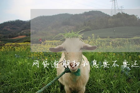 网贷逾期和利息要不要还 网贷逾期和利息要不要还