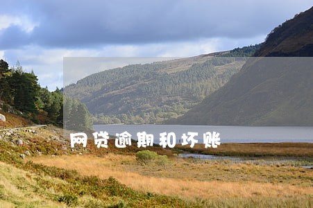 网贷逾期和坏账 网贷逾期和坏账