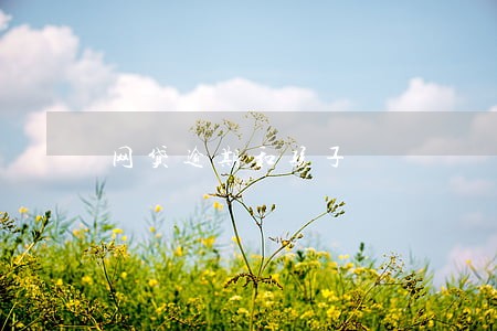 网贷逾期和孩子 网贷逾期和孩子