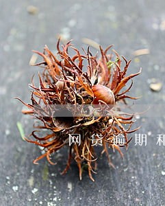 网贷逾期和父母说实话 网贷逾期和父母说实话