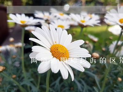 网贷逾期和起诉的区别 网贷逾期和起诉的区别