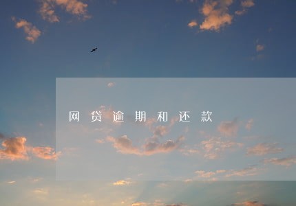 网贷逾期和还款 网贷逾期和还款
