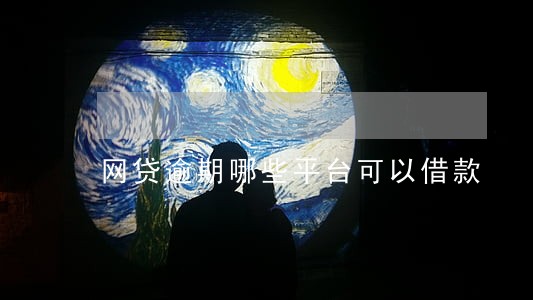 网贷逾期哪些平台可以借款 网贷逾期哪些平台可以借款
