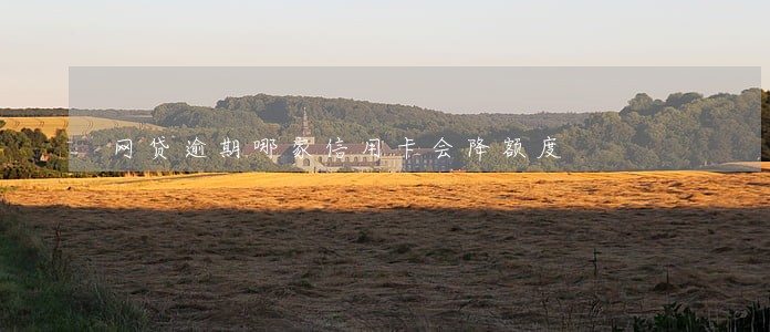 网贷逾期哪家信用卡会降额度