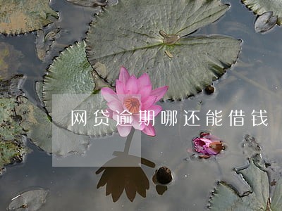 网贷逾期哪还能借钱 网贷逾期哪还能借钱
