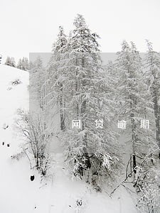 网贷逾期哪里可以查询 网贷逾期哪里可以查询