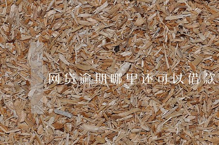 网贷逾期哪里还可以借款 网贷逾期哪里还可以借款