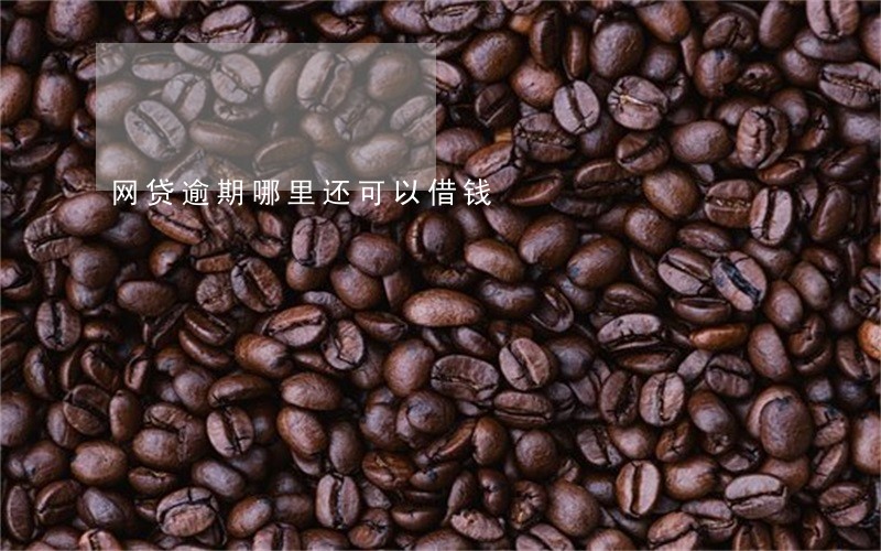 网贷逾期哪里还可以借钱 网贷逾期哪里还可以借钱