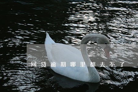 网贷逾期哪里都去不了 网贷逾期哪里都去不了