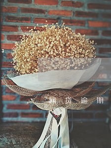 网贷逾期哭过多少个夜晚 网贷逾期哭过多少个夜晚