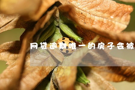 网贷逾期唯一的房子会被拍卖吗 网贷逾期唯一的房子会被拍卖吗