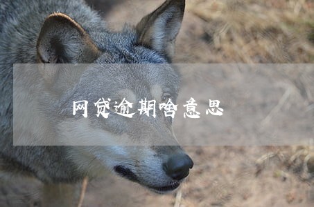 网贷逾期啥意思 网贷逾期啥意思