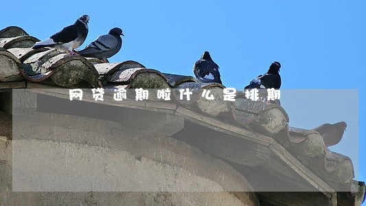 网贷逾期啦什么是排期 网贷逾期啦什么是排期