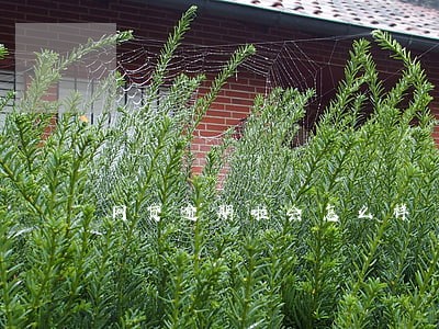 网贷逾期啦会怎么样 网贷逾期啦会怎么样