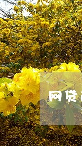 网贷逾期啦还不上怎么办 网贷逾期啦还不上怎么办
