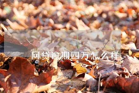 网贷逾期四万怎么样 网贷逾期四万怎么样