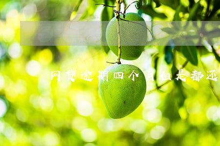 网贷逾期四个月但是都还了 网贷逾期四个月但是都还了