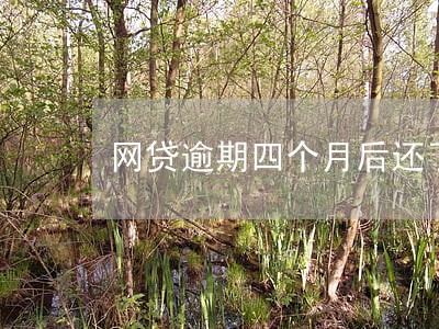 网贷逾期四个月后还了会怎么样 网贷逾期四个月后还了会怎么样