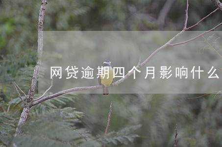 网贷逾期四个月影响什么 网贷逾期四个月影响什么