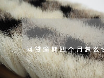 网贷逾期四个月怎么协商 网贷逾期四个月怎么协商