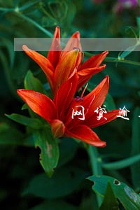 网贷逾期四个月是m几 网贷逾期四个月是m几