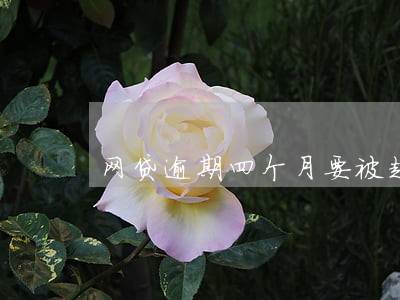 网贷逾期四个月要被起诉 网贷逾期四个月要被起诉