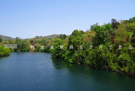 网贷逾期四五个月了怎么办 网贷逾期四五个月了怎么办