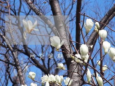 网贷逾期四五千 网贷逾期四五千