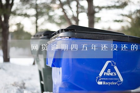网贷逾期四五年还没还的有没有