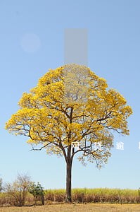 网贷逾期四十多天说起诉是真的吗 网贷逾期四十多天说起诉是真的吗