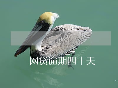 网贷逾期四十天 网贷逾期四十天