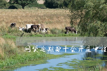 网贷逾期四千会开庭审理吗 网贷逾期四千会开庭审理吗