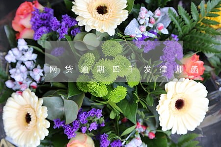 网贷逾期四千发律师函