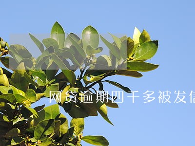 网贷逾期四千多被发信息威胁