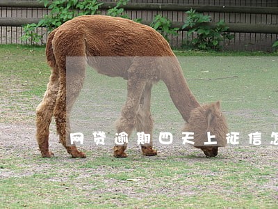 网贷逾期四天上征信怎么办 网贷逾期四天上征信怎么办