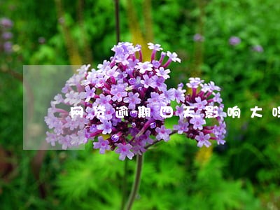 网贷逾期四天影响大吗 网贷逾期四天影响大吗