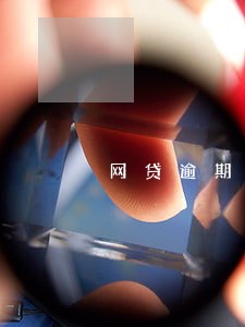 网贷逾期四天没有电话了 网贷逾期四天没有电话了