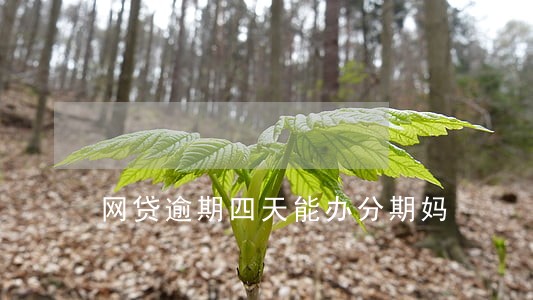 网贷逾期四天能办分期妈 网贷逾期四天能办分期妈