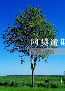 网贷逾期四天要付违约吗 网贷逾期四天要付违约吗