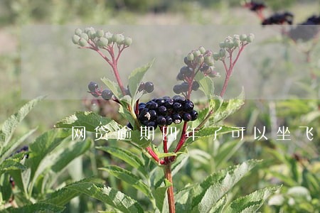 网贷逾期四年了可以坐飞机吗 网贷逾期四年了可以坐飞机吗