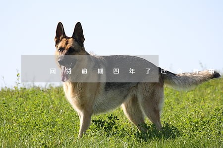 网贷逾期四年了还会有事吗 网贷逾期四年了还会有事吗