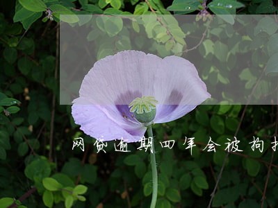 网贷逾期四年会被拘捕吗 网贷逾期四年会被拘捕吗