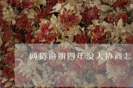 网贷逾期四年没人协商怎么办 网贷逾期四年没人协商怎么办