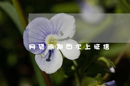 网贷逾期四次上征信 网贷逾期四次上征信